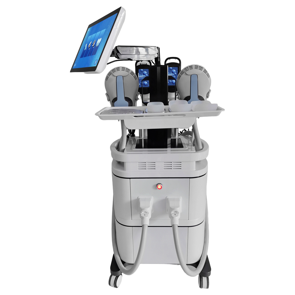 2 in 1 EMS Slim Cryo Fat Freeze Body Sculpting Machine